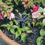 Shrub Irrigator (25/pack)
